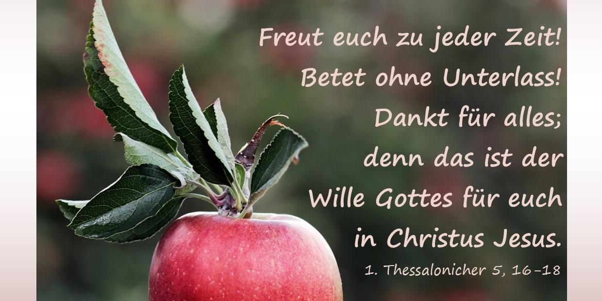 Pfarrbrief vom 01.10.2025 bis 31.10.2025