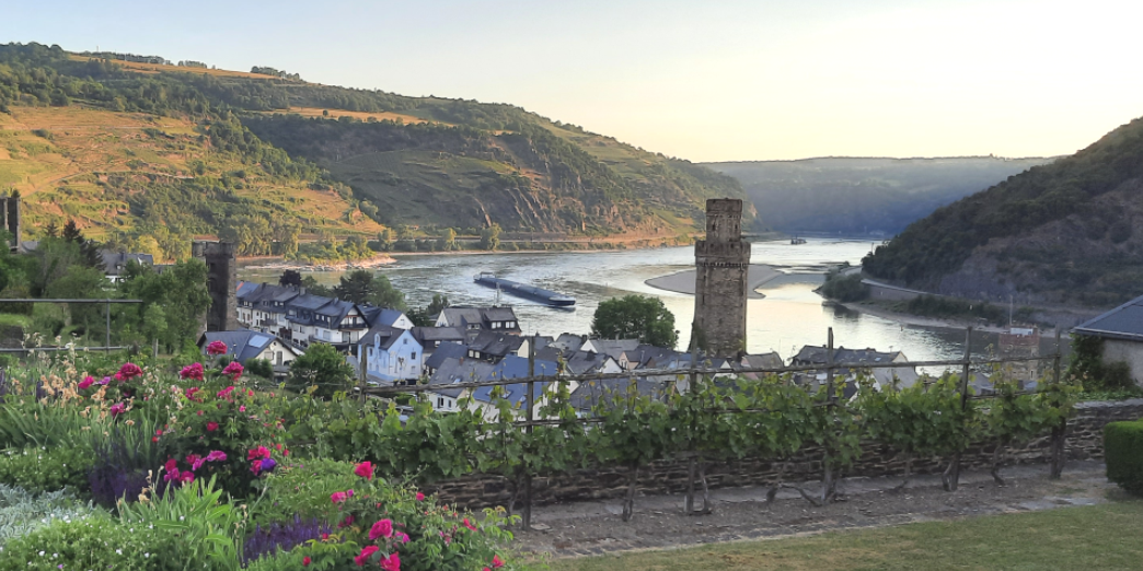 Sonnenaufgang Pfarrgarten Oberwesel