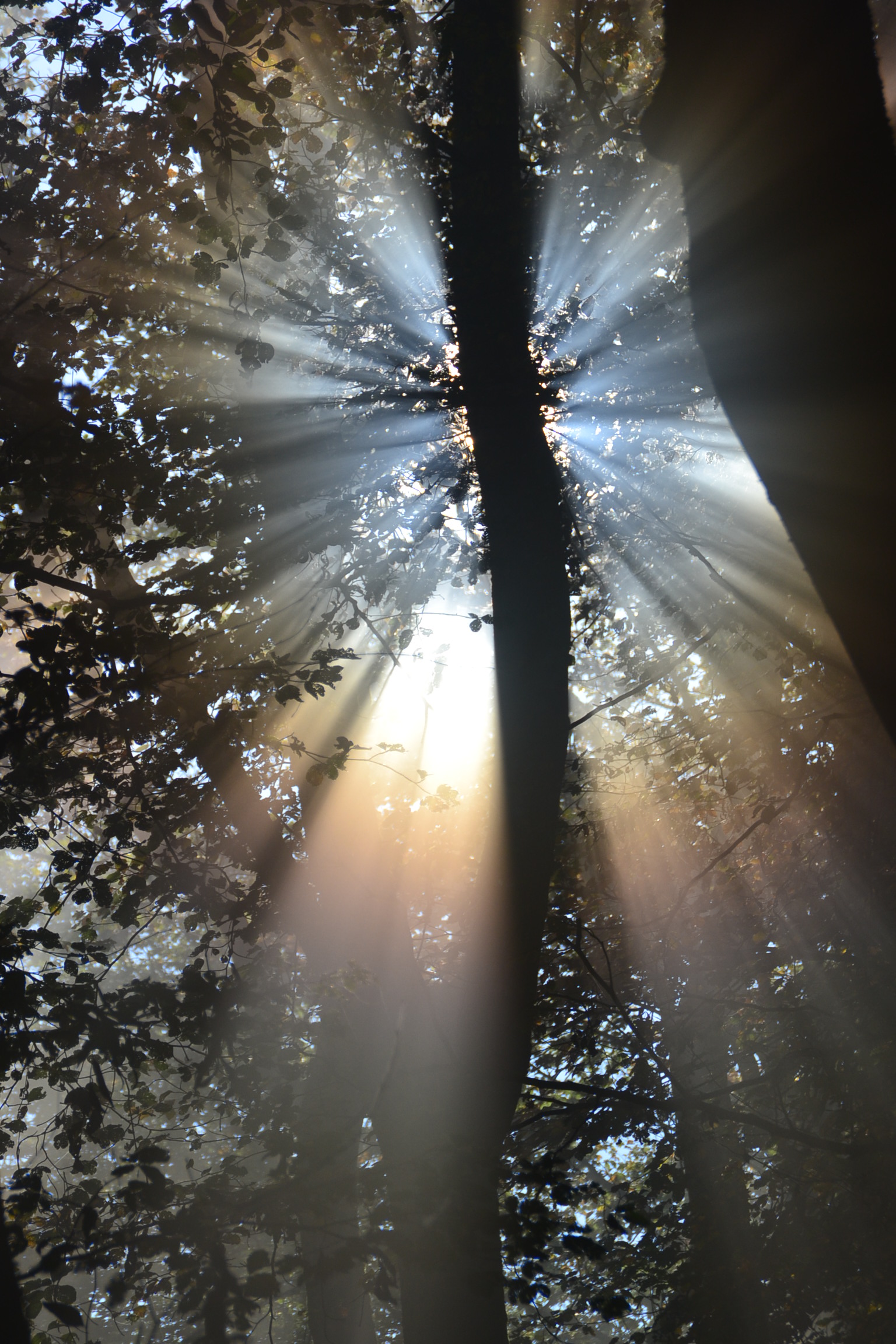 dsc_0082_by_jutta_brahm_pfarrbriefservice