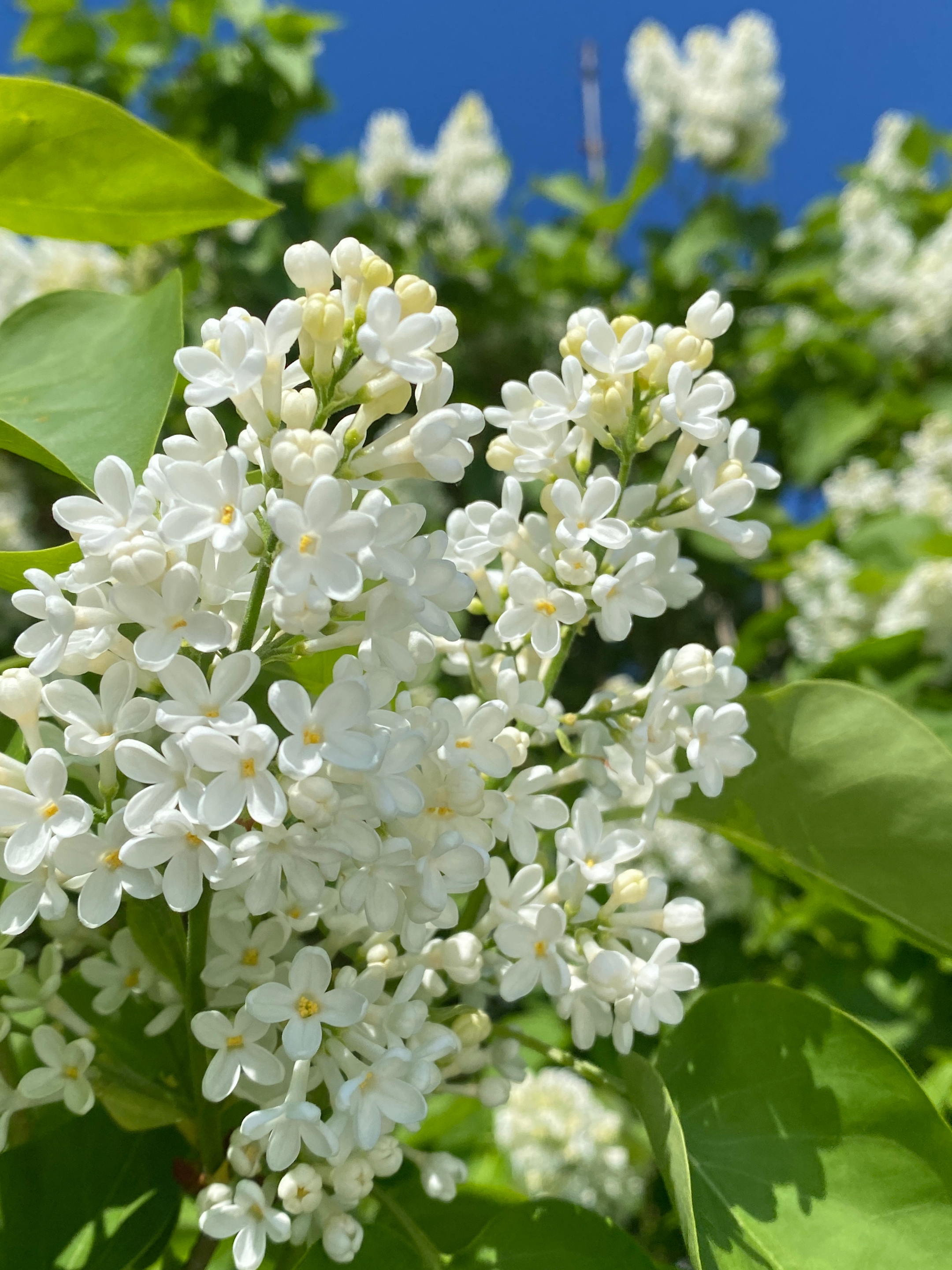 img_7311_by_Sylvio_Krueger_pfarrbriefservice