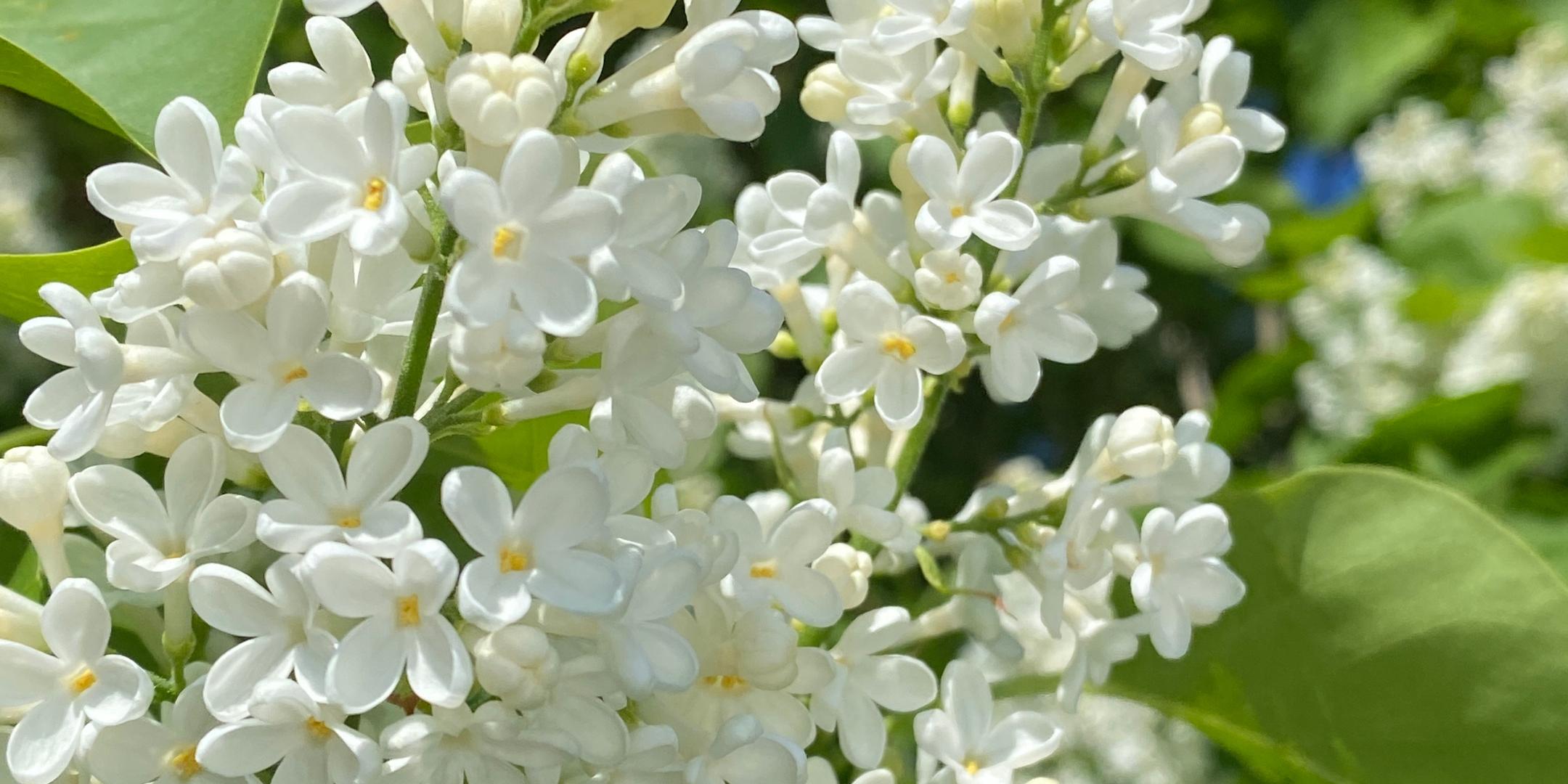 img_7311_by_Sylvio_Krueger_pfarrbriefservice